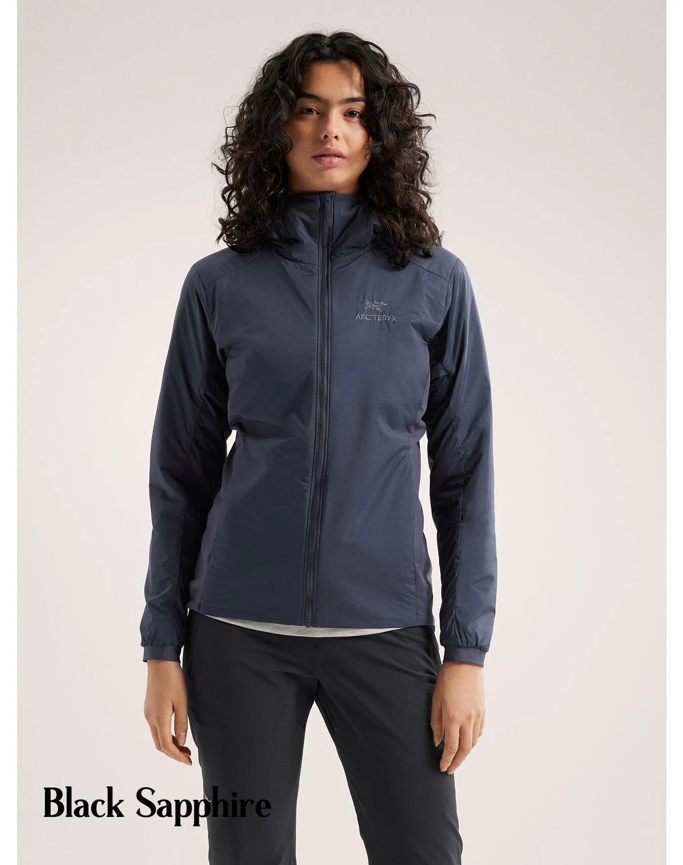 ARC'TERYX  |Plain Logo Hoodies & Sweatshirts