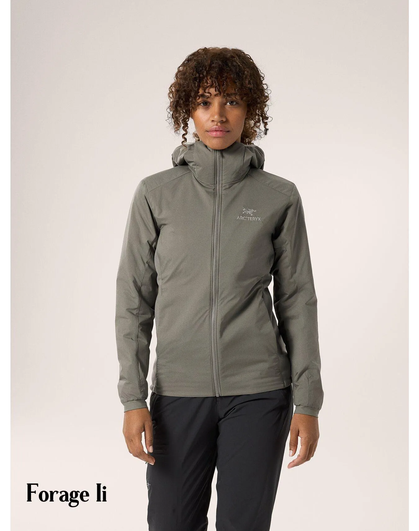 ARC'TERYX  |Plain Logo Hoodies & Sweatshirts