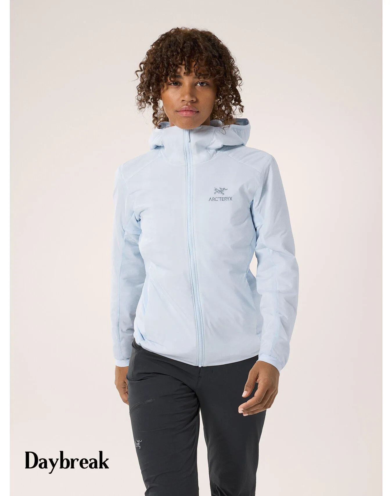 ARC'TERYX  |Plain Logo Hoodies & Sweatshirts