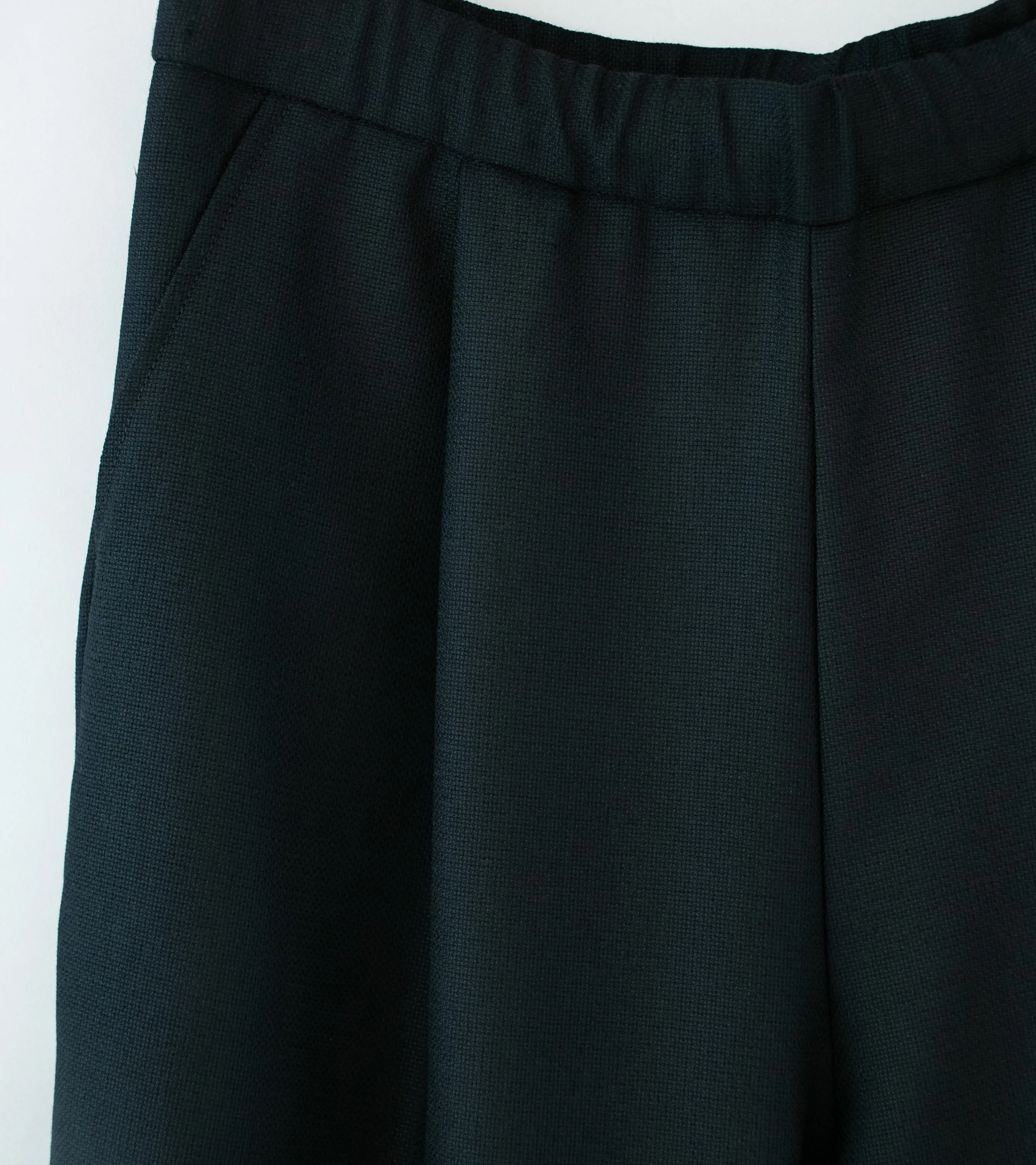 Euphorbia 'Uni Trouser' (Black Tropical Wool)