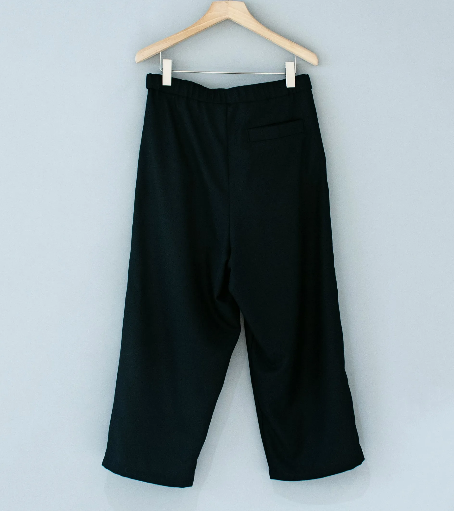 Euphorbia 'Uni Trouser' (Black Tropical Wool)