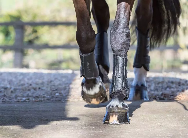 LeMieux Schooling Boots Pair